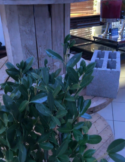 Фуршет на 80 персон Айтеко