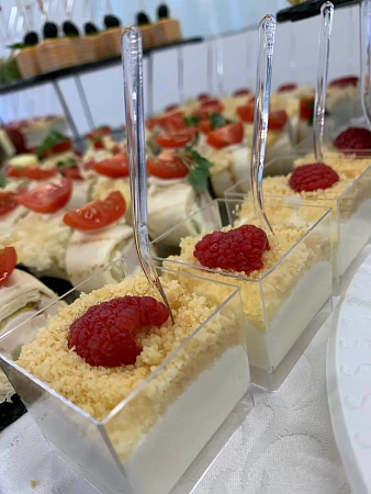 Фуршет на 50 персон для компании Алкон