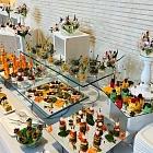 Как выбрать кейтеринг и не потерять бюджет?