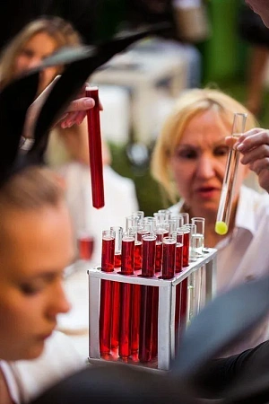 Презентация в Rouge Bunny Rouge