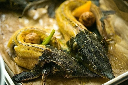 Премия Антифемида