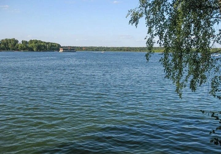 Солнечная поляна