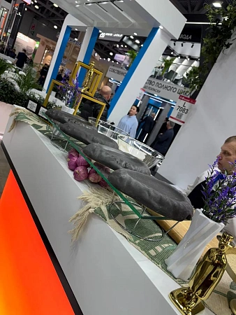 Анимационные станции на выставку РСК 