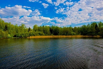 Солнечная поляна