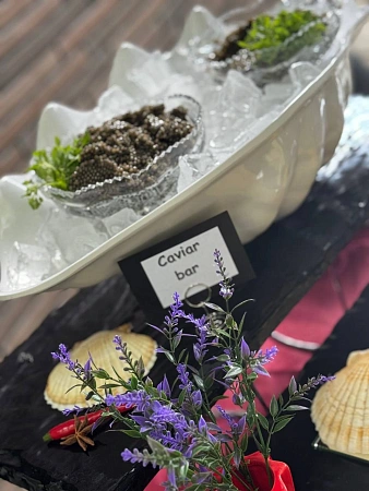 День Рождения в формате коктейль на 50 персон