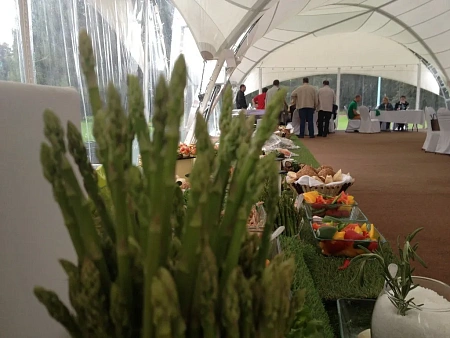 Свадьба в усадьбе Валуево