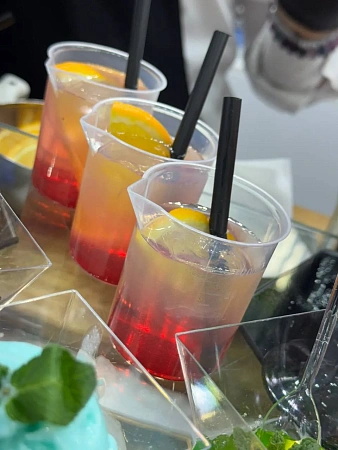 Анимационные станции на выставку РСК 