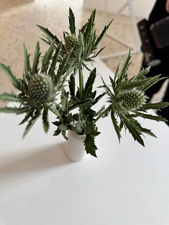 Фуршет на выставку современного искусства в Askeri Gallery