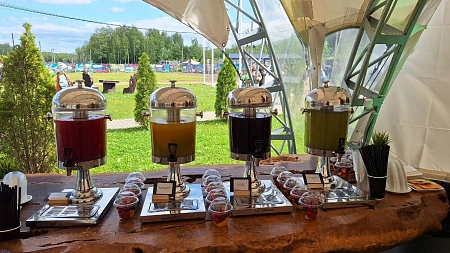 Фуршет и анимационные станции для 170 персон Тойота