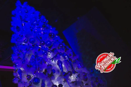 Фуршет Чистая Линия для 300 гостей