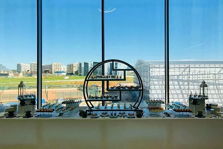 Фуршет в Сколково