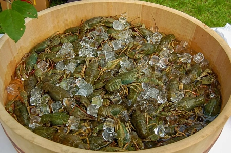 Барбекю для коллег в частном доме