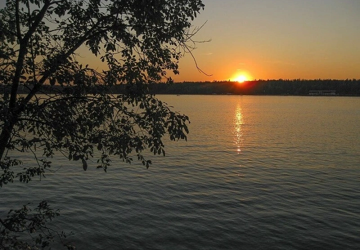 Солнечная поляна