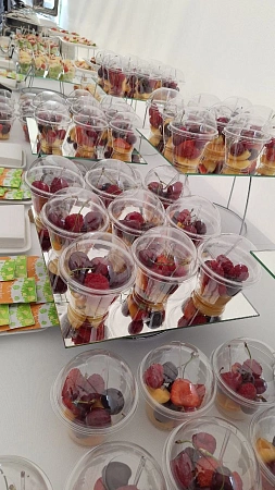 Фуршет и анимационные станции для 170 персон Тойота