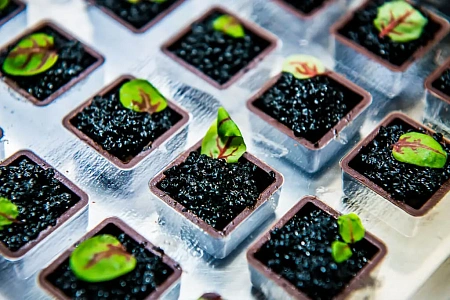 Новогодний гала-ужин в Доме Смирнова