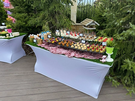 Праздник в честь дня рождения на 14 персон фуршет